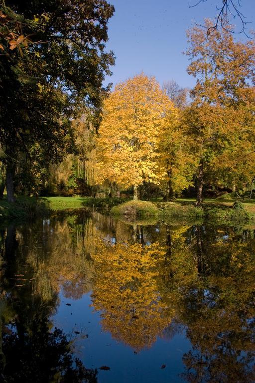 Manoir Du Plessix Meen Pluduno エクステリア 写真